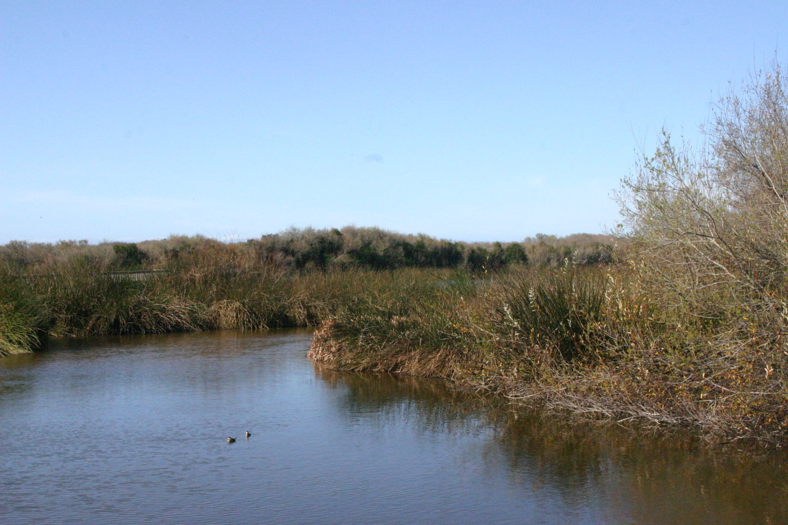 Oso Flaco Boardwalk